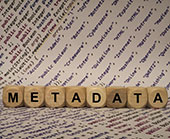 metadata graphic